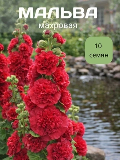 Алый