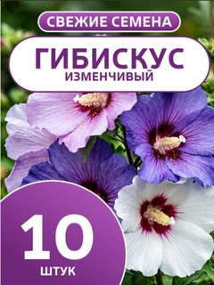 Аметистовый