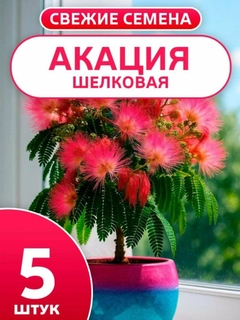 Пастельно-коралловый