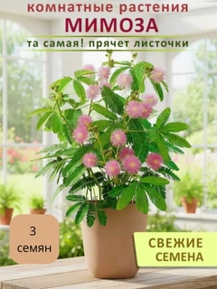 Конфетный