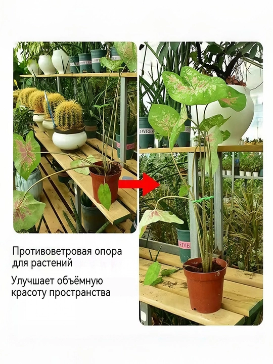 Опора от полегания растений, фиксатор стеблей горшечных цветов