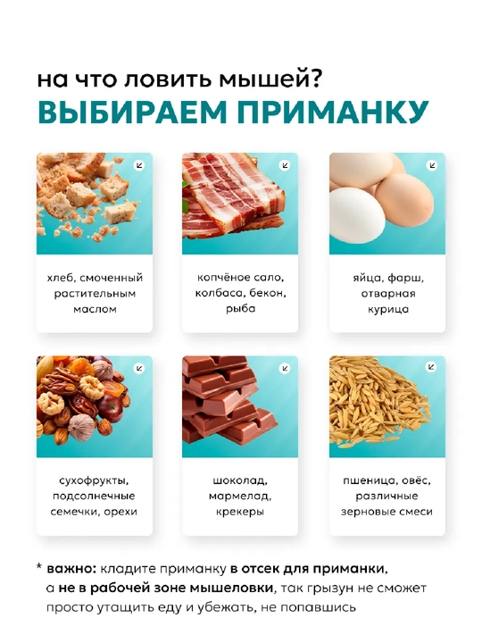 Мышеловка  для мышей, 2 шт