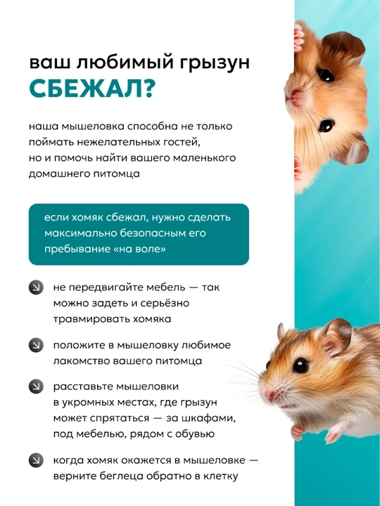 Мышеловка  для мышей, 2 шт