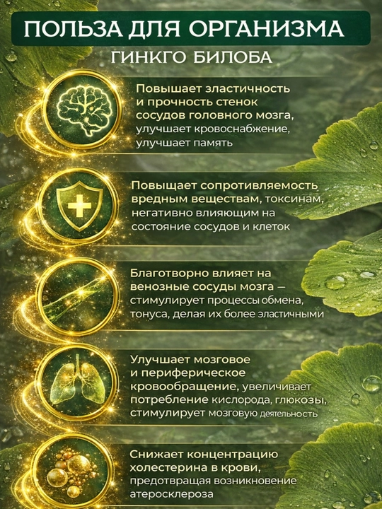 Maruman Ginkgo Biloba