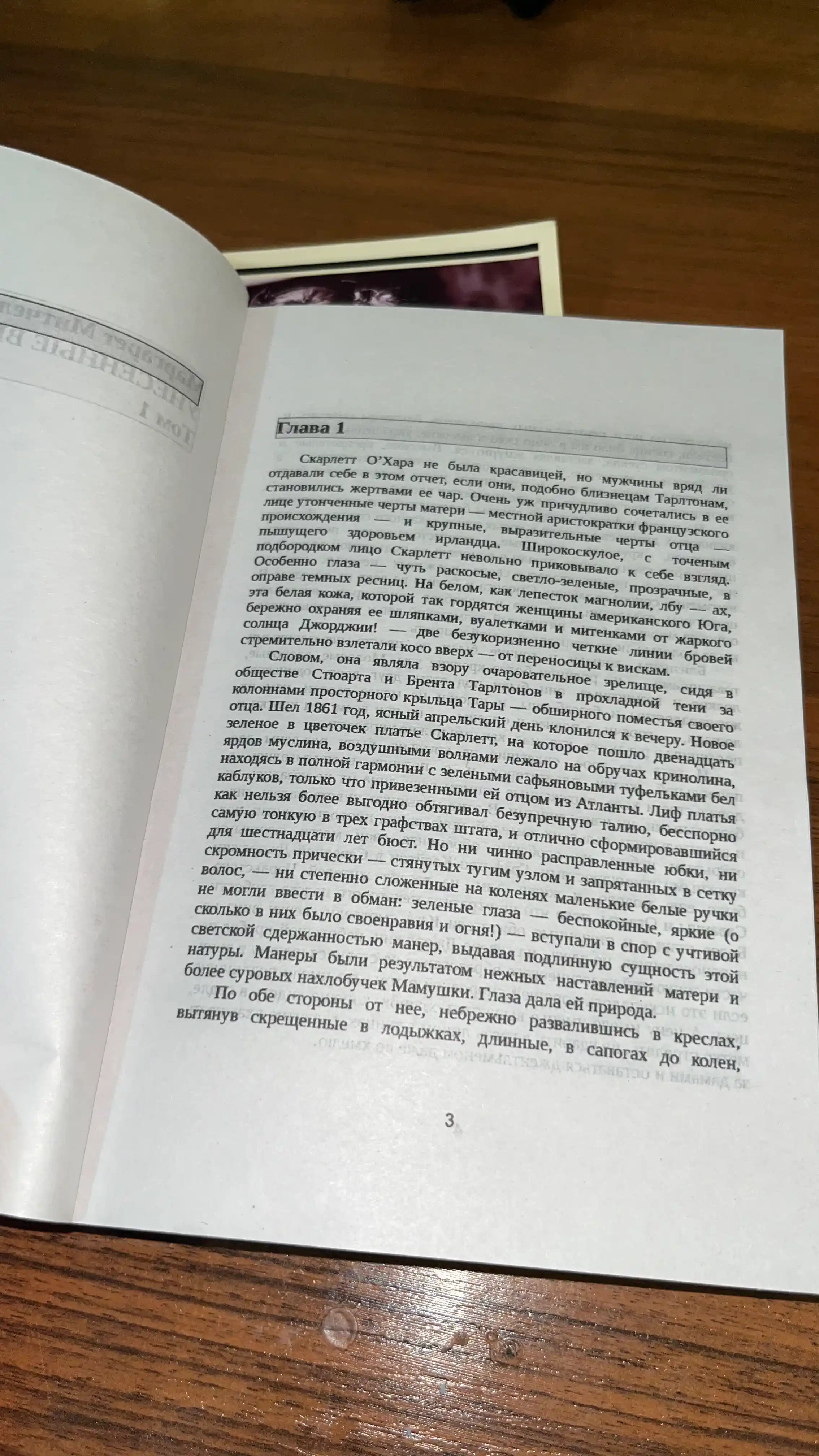 Маргарет Митчелл, Унесенные Ветром, Том 1, Том 2
