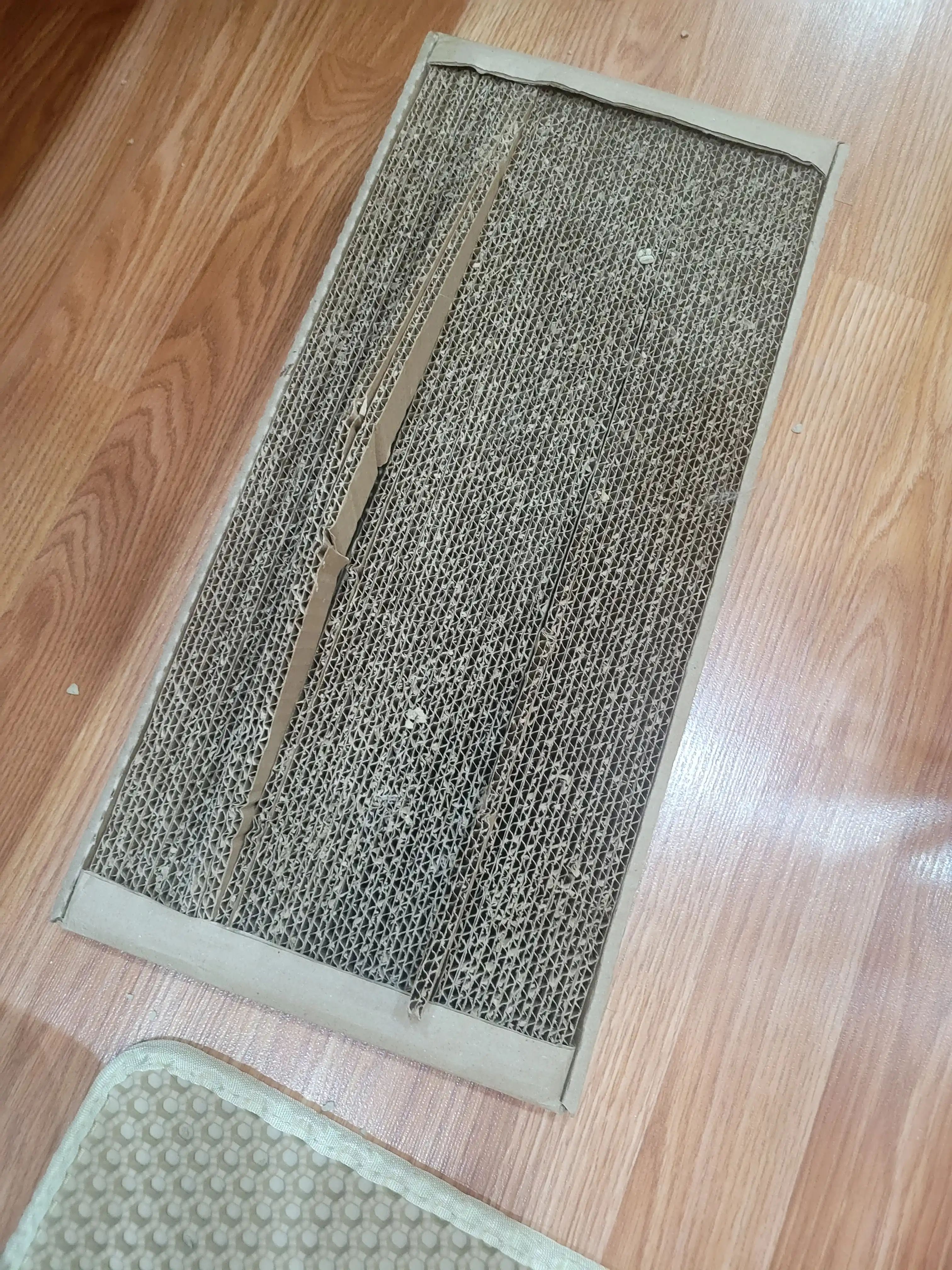 Katta, mushuklar uchun kartondan yasalgan, mushuk yalpizli, 50*24 sm o‘lchamdagi tirnoqli yotoqcha, BOBRIKGORA, KRAFT