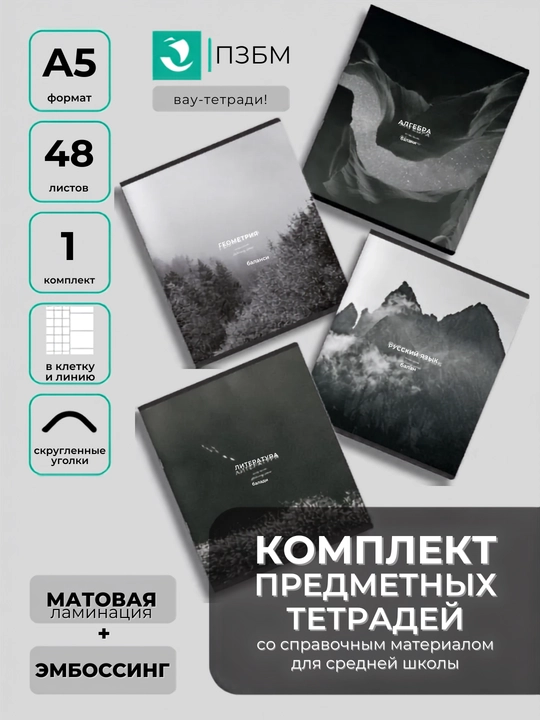 Комплект предметных тетрадей A5, 48 л, в клетку и линию,10-12 шт, со справочной информацией - 