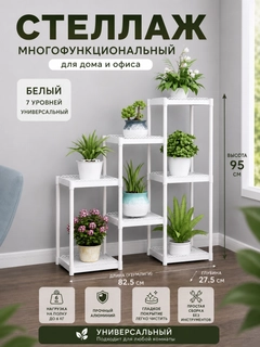 Korall