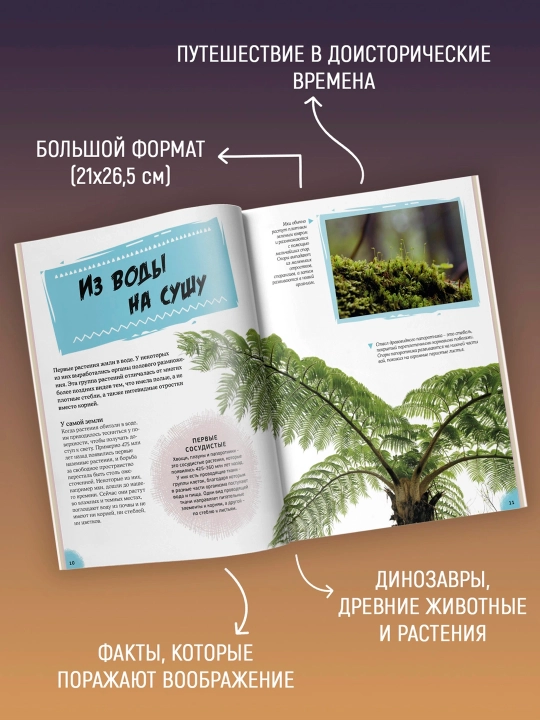 Эра динозавров. Жизнь в доисторические времена, Гибберт Клэр, Фаркас Рудольф