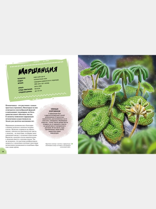 Эра динозавров. Жизнь в доисторические времена, Гибберт Клэр, Фаркас Рудольф