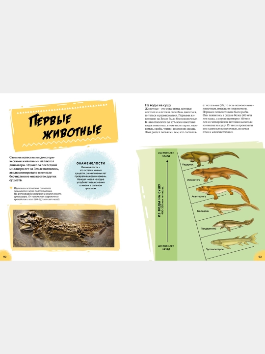 Эра динозавров. Жизнь в доисторические времена, Гибберт Клэр, Фаркас Рудольф