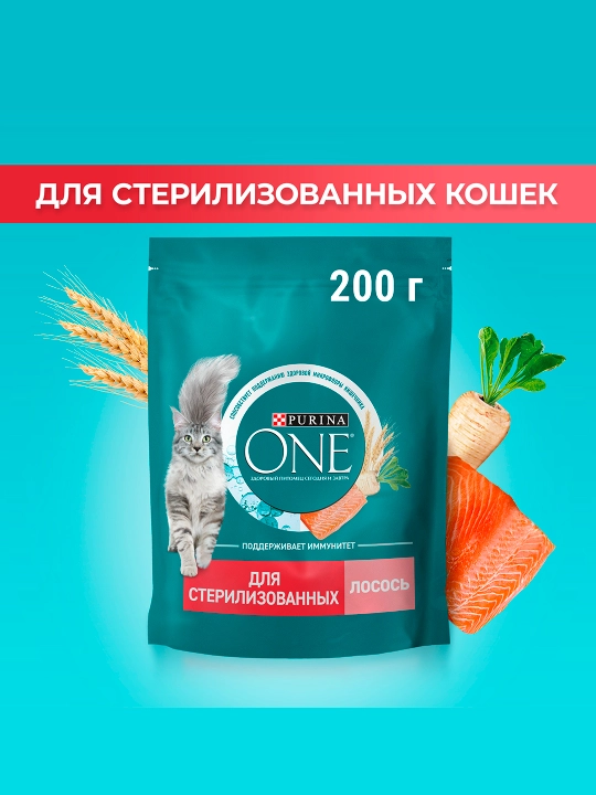 Purina One Uy, кatta mushuklar uchun quruq ozuqasi, losos bilan, 200 gr - 