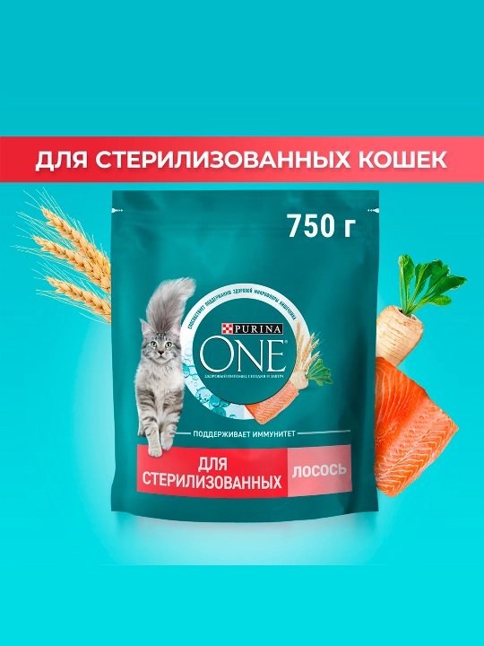 Purina One Uy, кatta mushuklar uchun quruq ozuqasi, losos bilan, 750 gr - 