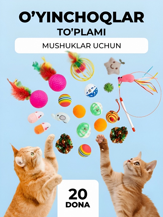 Mushuklar va mushukchalar uchun o‘yinchoqlar to‘plami, qarmoq, sichqoncha, to‘plar - 