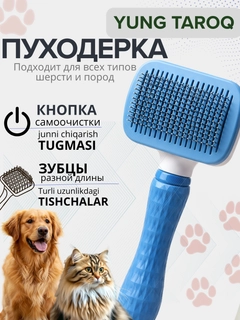 Голубой