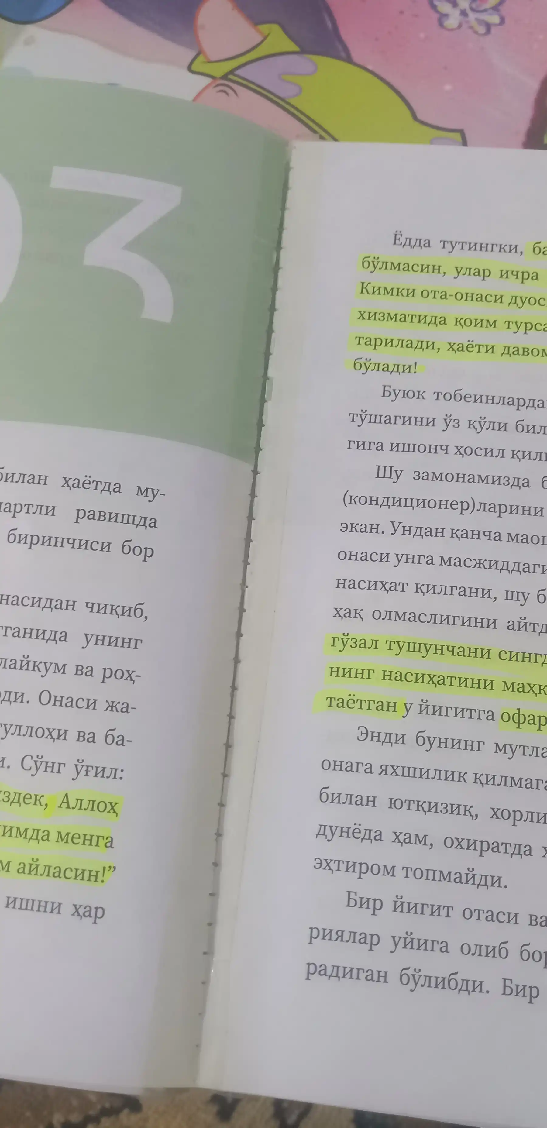 Метин коялар, Хассон Шамсий Пошо