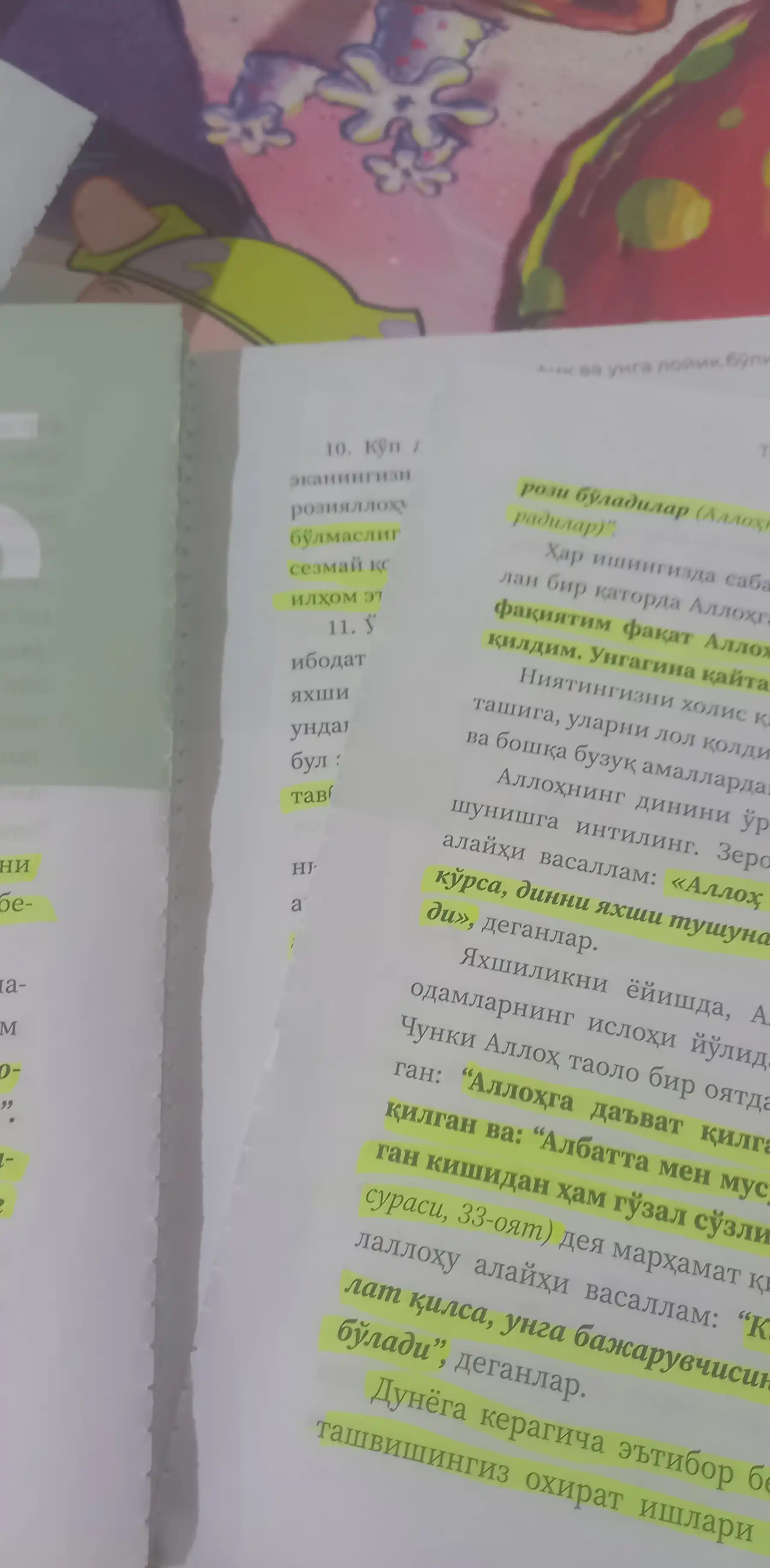 Метин коялар, Хассон Шамсий Пошо