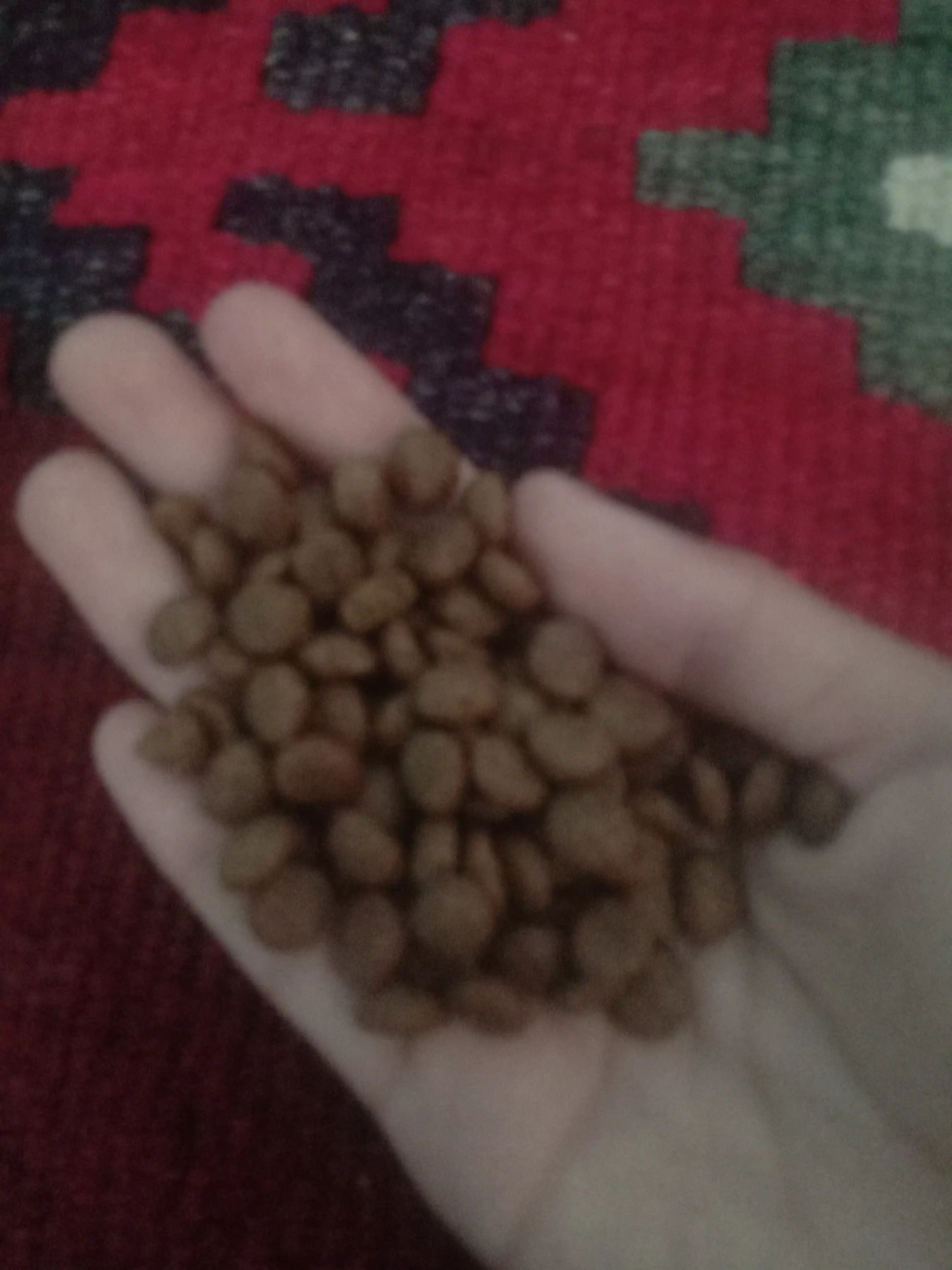 Paw Picks mushuklar uchun quruq yem, tovuq go‘shti bilan, 1 kg