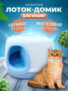 Muz