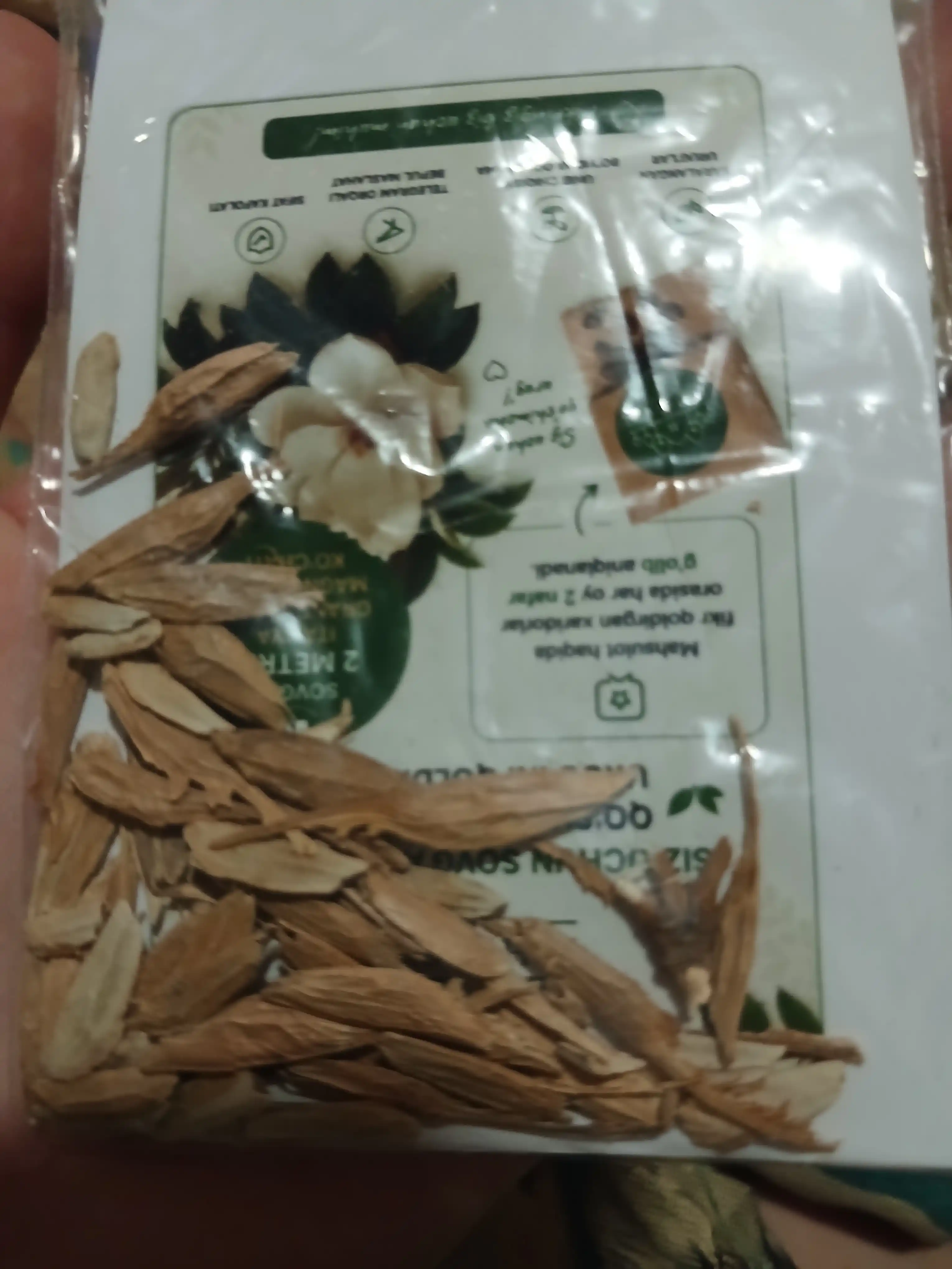 Adenium Arabicum Mix, urug‘lar, 15 dona, xona o‘simliklari urug‘lari