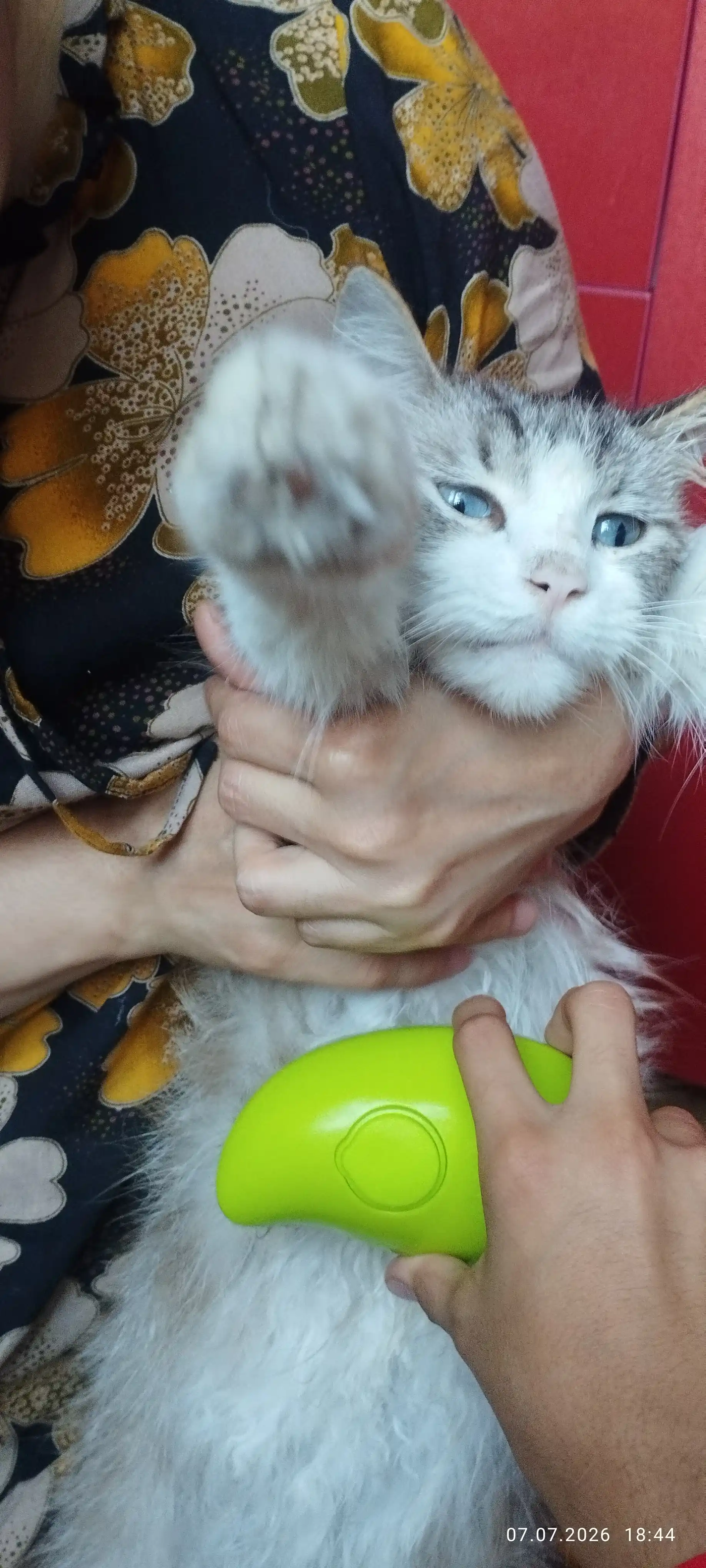 Паровая щетка для собак и кошек