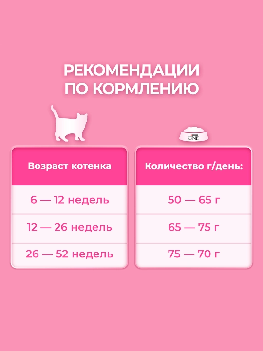 Purina One Uy, мushukchalar uchun quruq ozuqasi, tovuqli, 750 gr