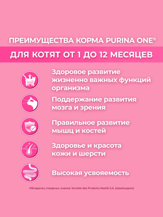 Purina One Uy, мushukchalar uchun quruq ozuqasi, tovuqli, 750 gr