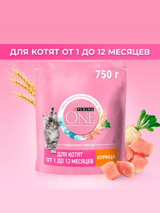 Purina One Uy, мushukchalar uchun quruq ozuqasi, tovuqli, 750 gr - 