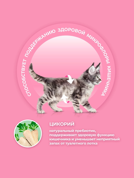 Purina One Uy, мushukchalar uchun quruq ozuqasi, tovuqli, 750 gr