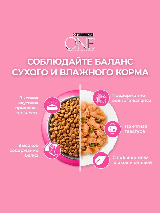 Purina One Uy, мushukchalar uchun quruq ozuqasi, tovuqli, 750 gr