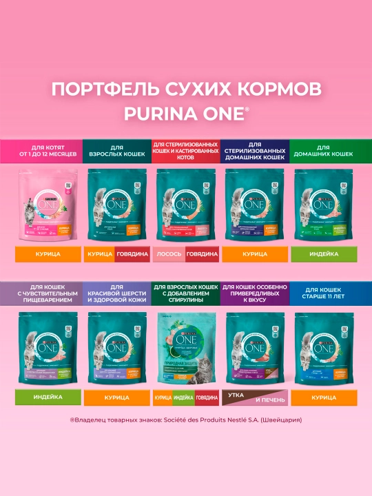 Purina One Uy, мushukchalar uchun quruq ozuqasi, tovuqli, 750 gr