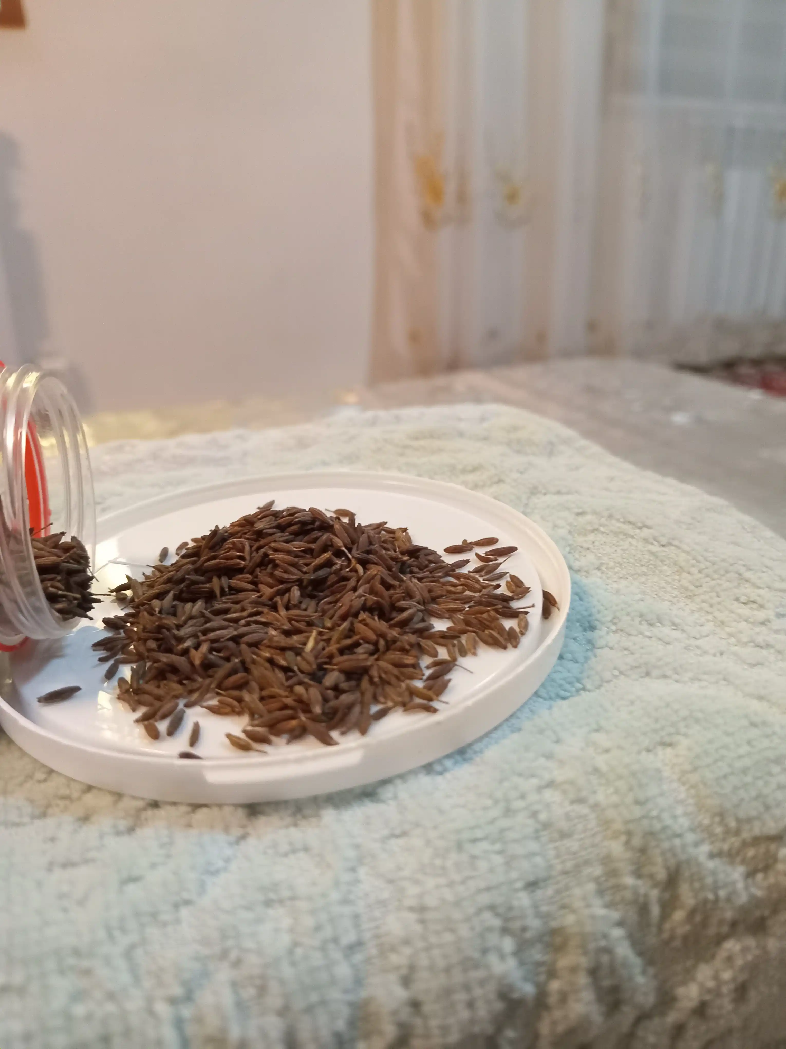 Zira "GRAND SPICE" 130gr
