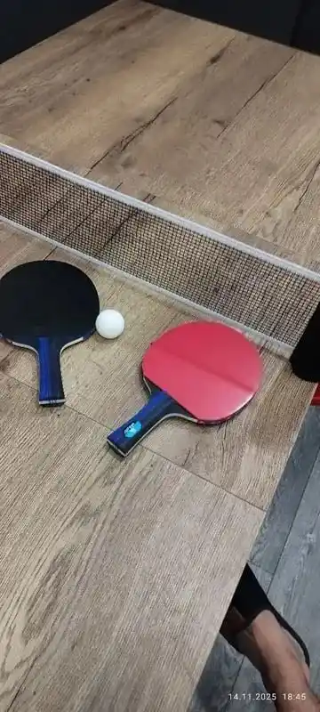 Stol tennis raketka 2 talik toplam, g'ilofli stol tenis raketka