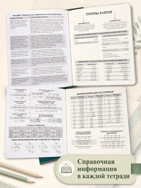 A5 formatda fan daftarlar to‘plami, 48 bet, katak va chiziqli, 10-12 dona, qo‘llanma bilan