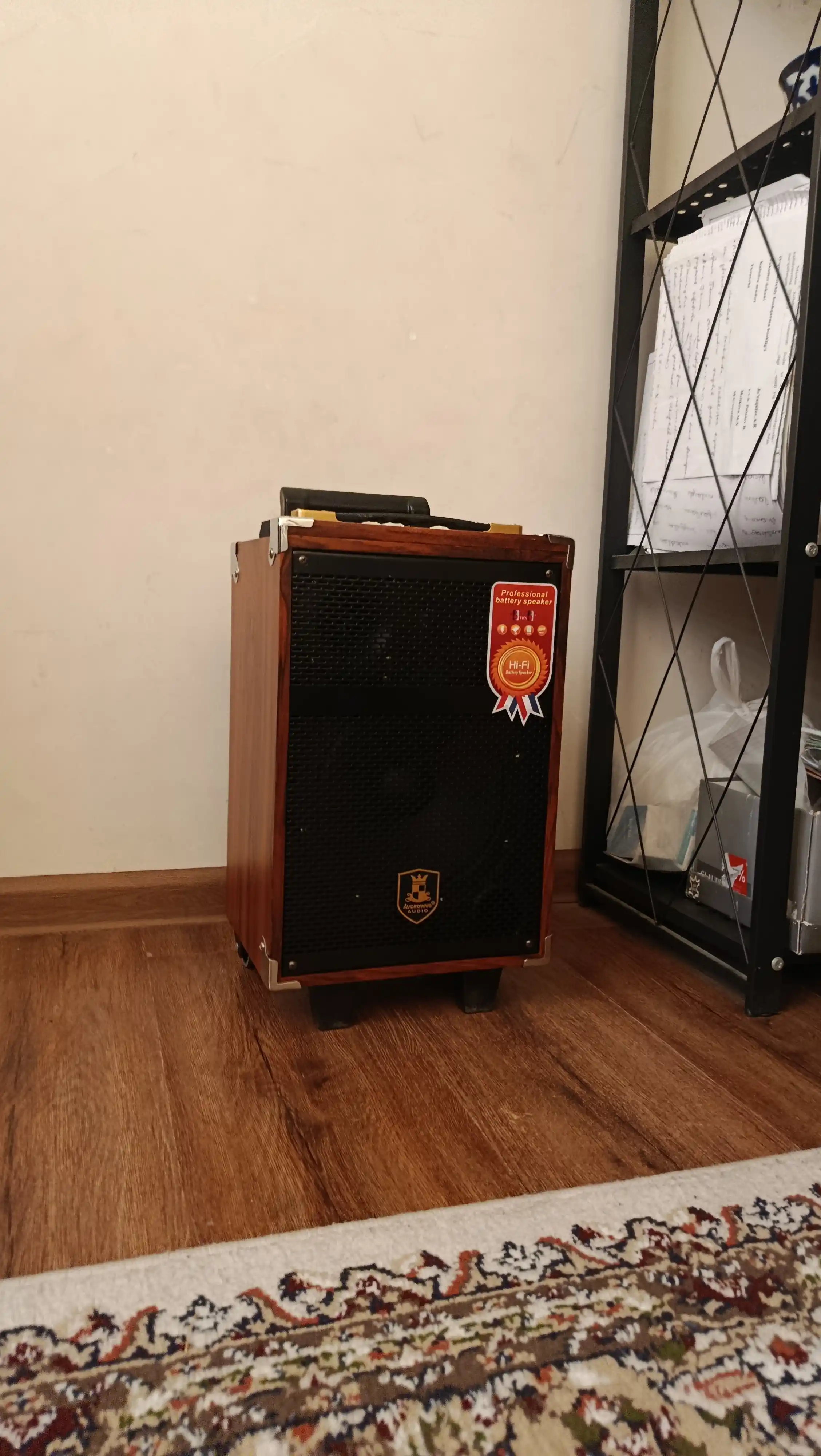Kuchli karaoke dinamiki, 2ta simsiz mikrofon, uzoq muddatli quvvat, Portativ qulay