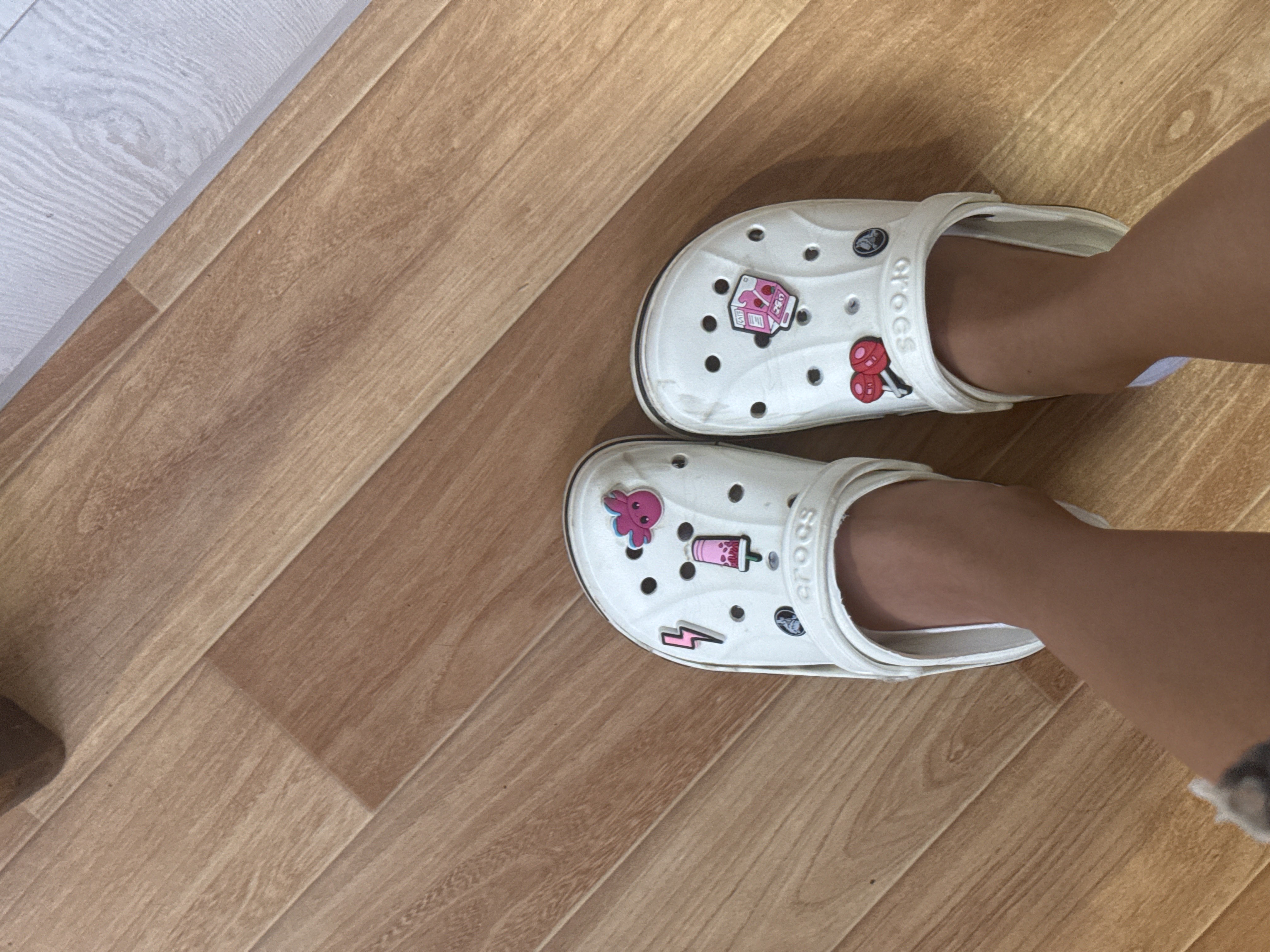 Jibbits, 31 turda
