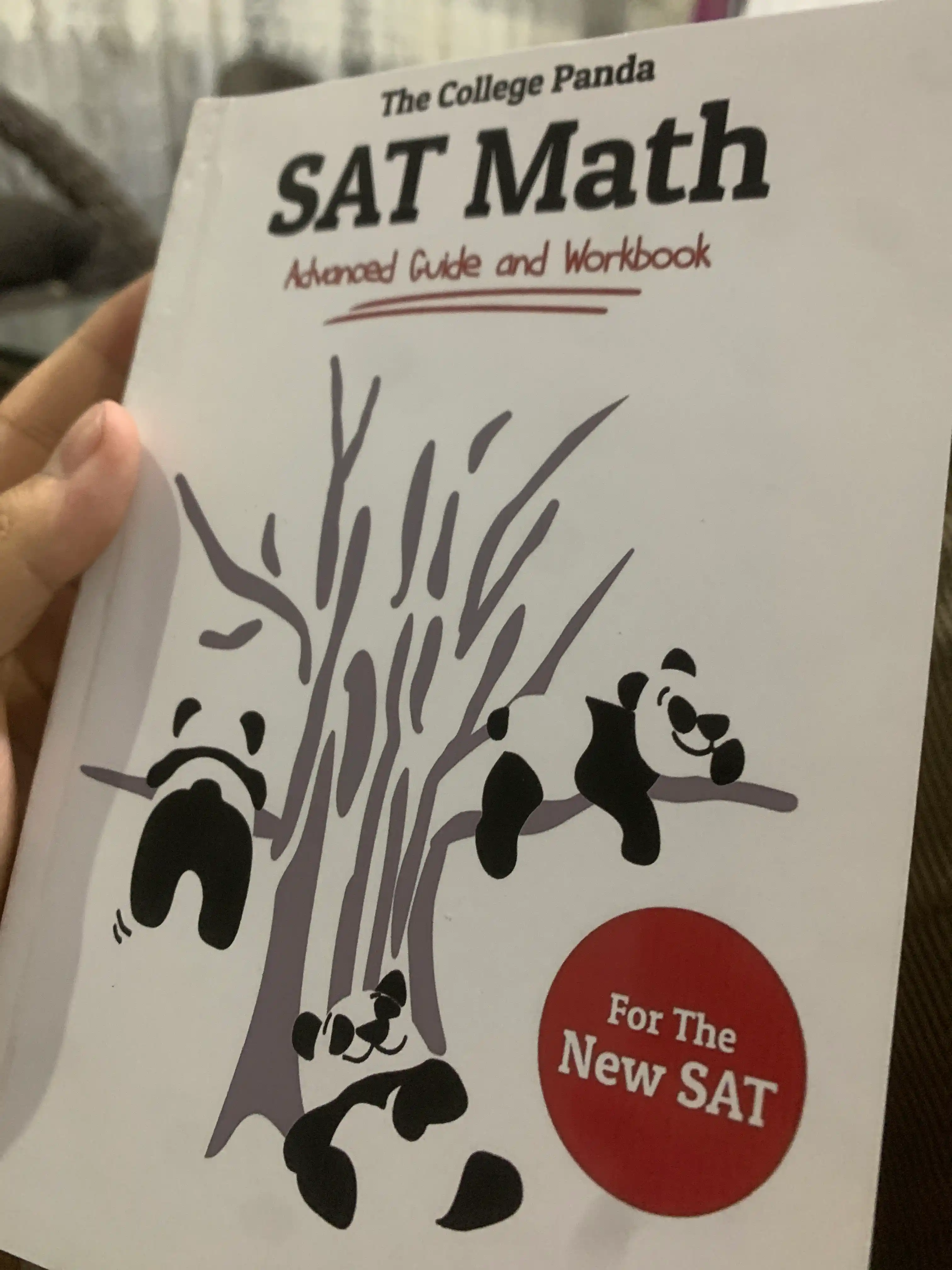 SAT Math, Writing, reading, Grammar