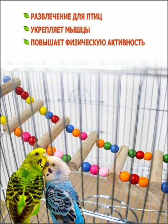 Лестницы в клетку для попугаев