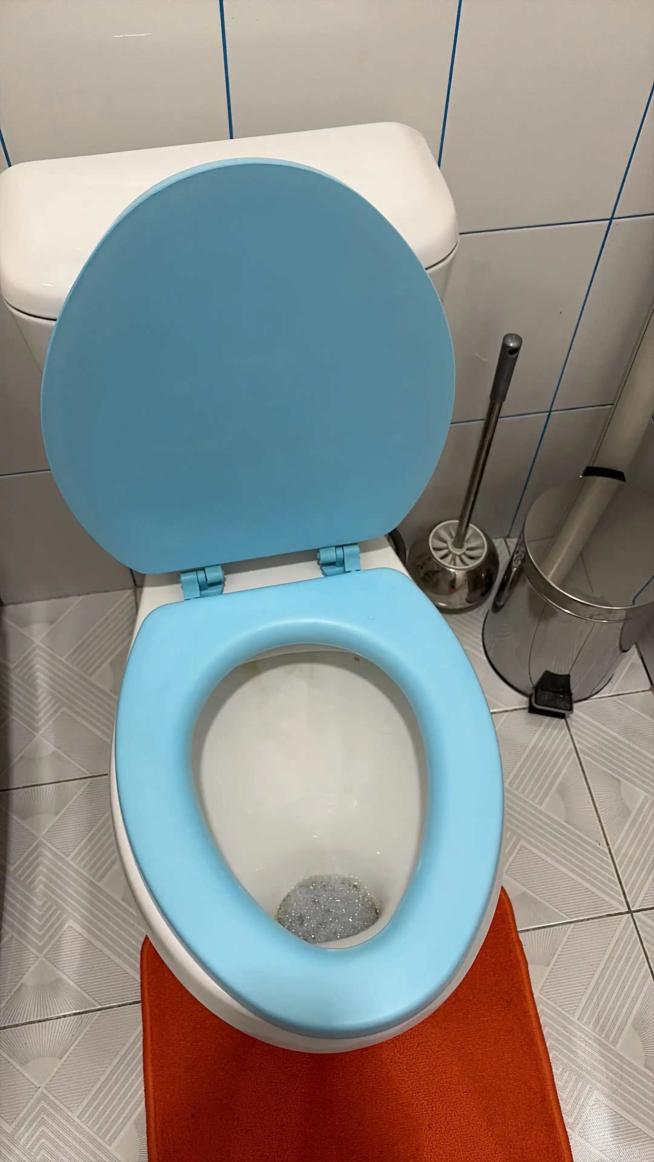Сиденье для унитаза