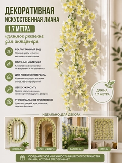 Limon rang