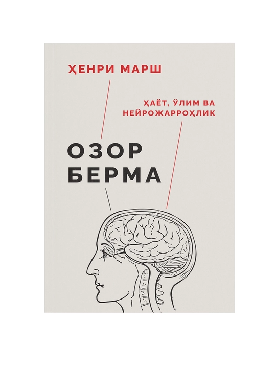 Подарочный набор «Библиотека» из 50 популярных книг