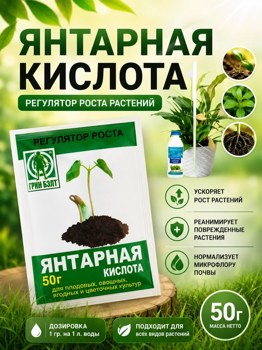 Янтарная кислота - 