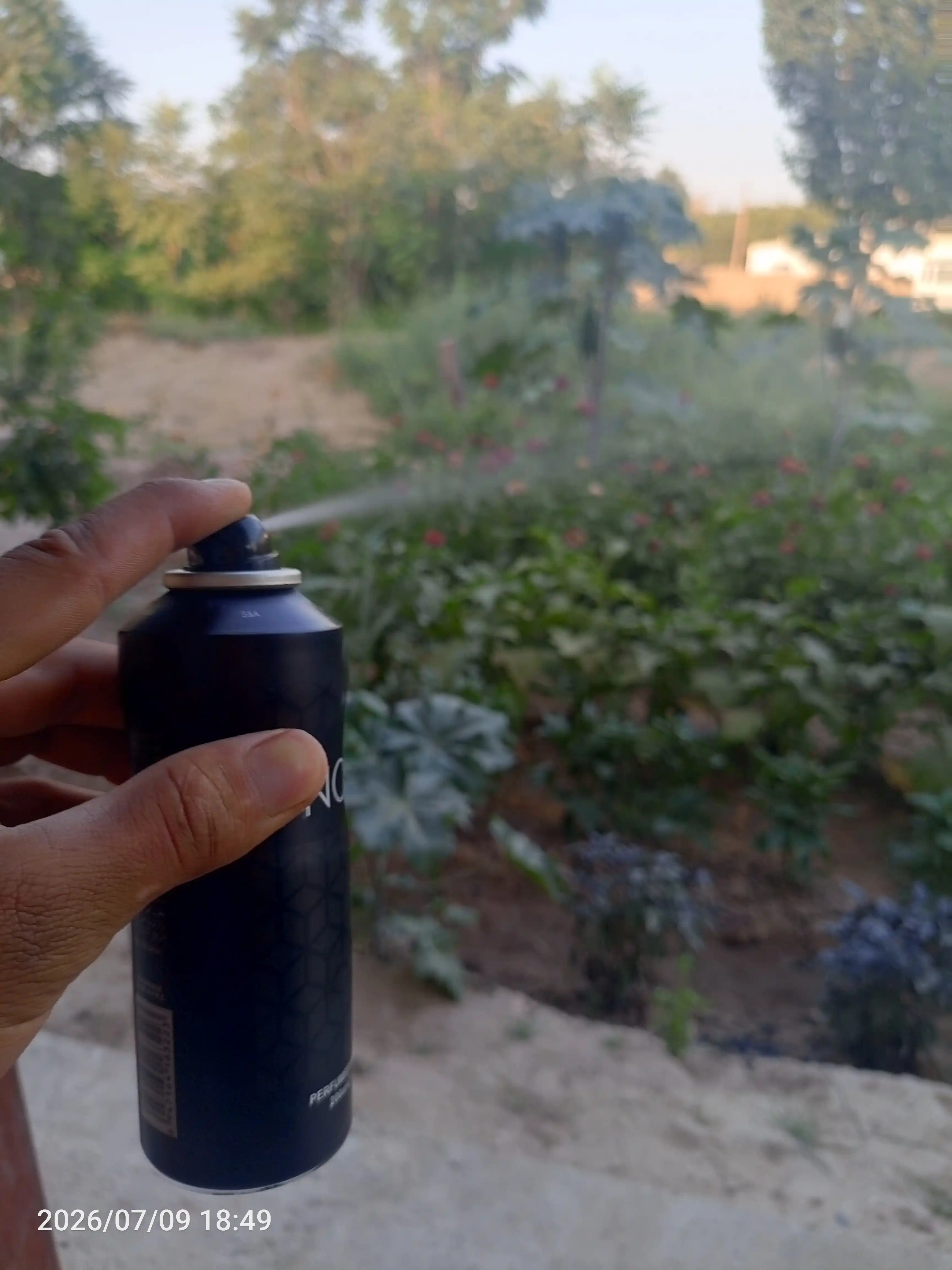 NOW dezodoranti, 200 ml