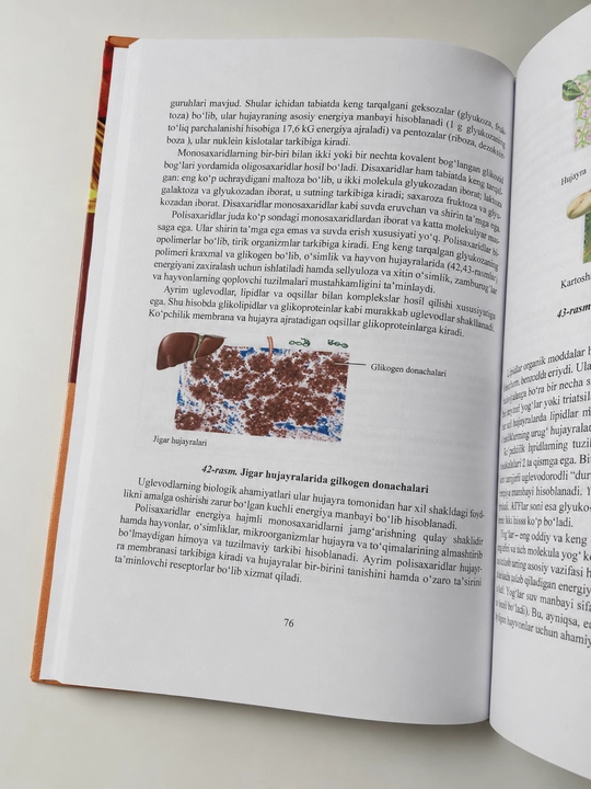 Tibbiyot kitobi, Tibbiy biologiya va genetika, P.X. Xoliqov, Oliy oʻquv yurtlari uchun