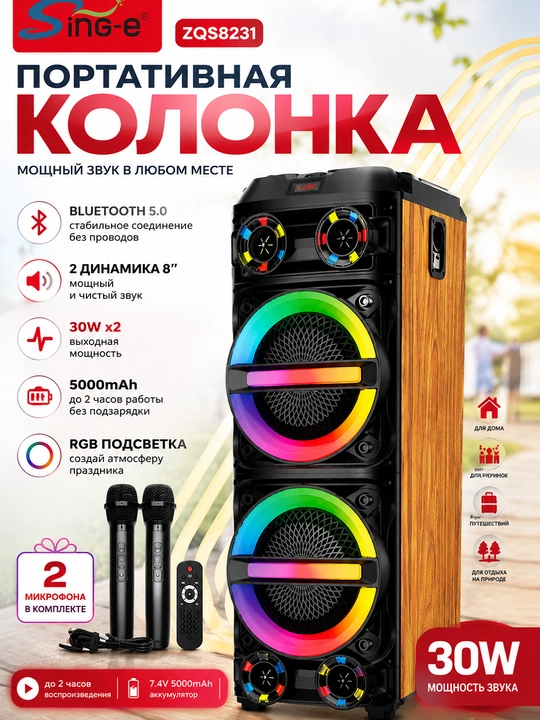 Профессиональная Bluetooth акустическая система Sing-e ZQS8231, 60 Вт, 2×8", два микрофона - 