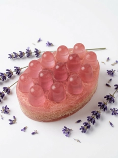 Lavanda
