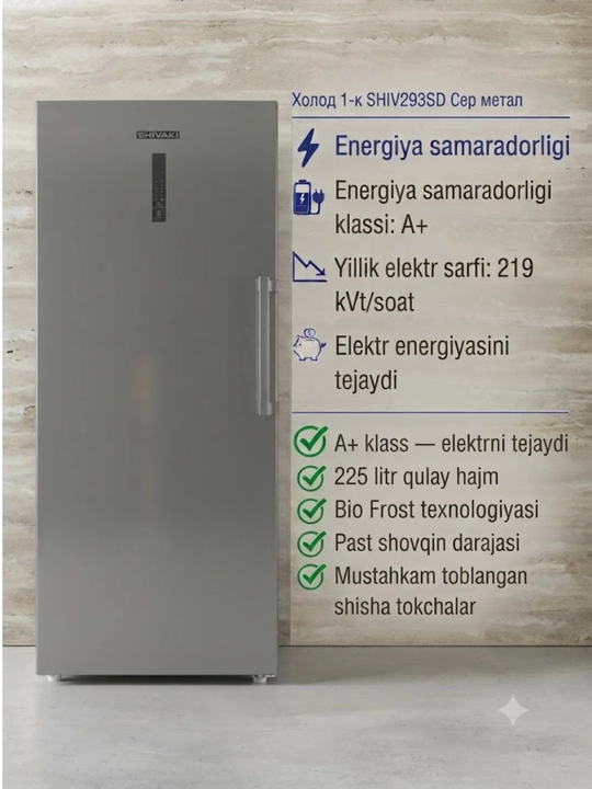 SHIV293SD bir kamerali muzlatgich. - 