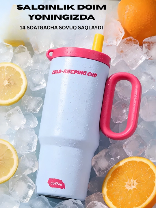 Termokruzhka issiq va sovuq ichimliklar uchun, zanglamas po'lat 316, ish, ofis uchun 750 ml