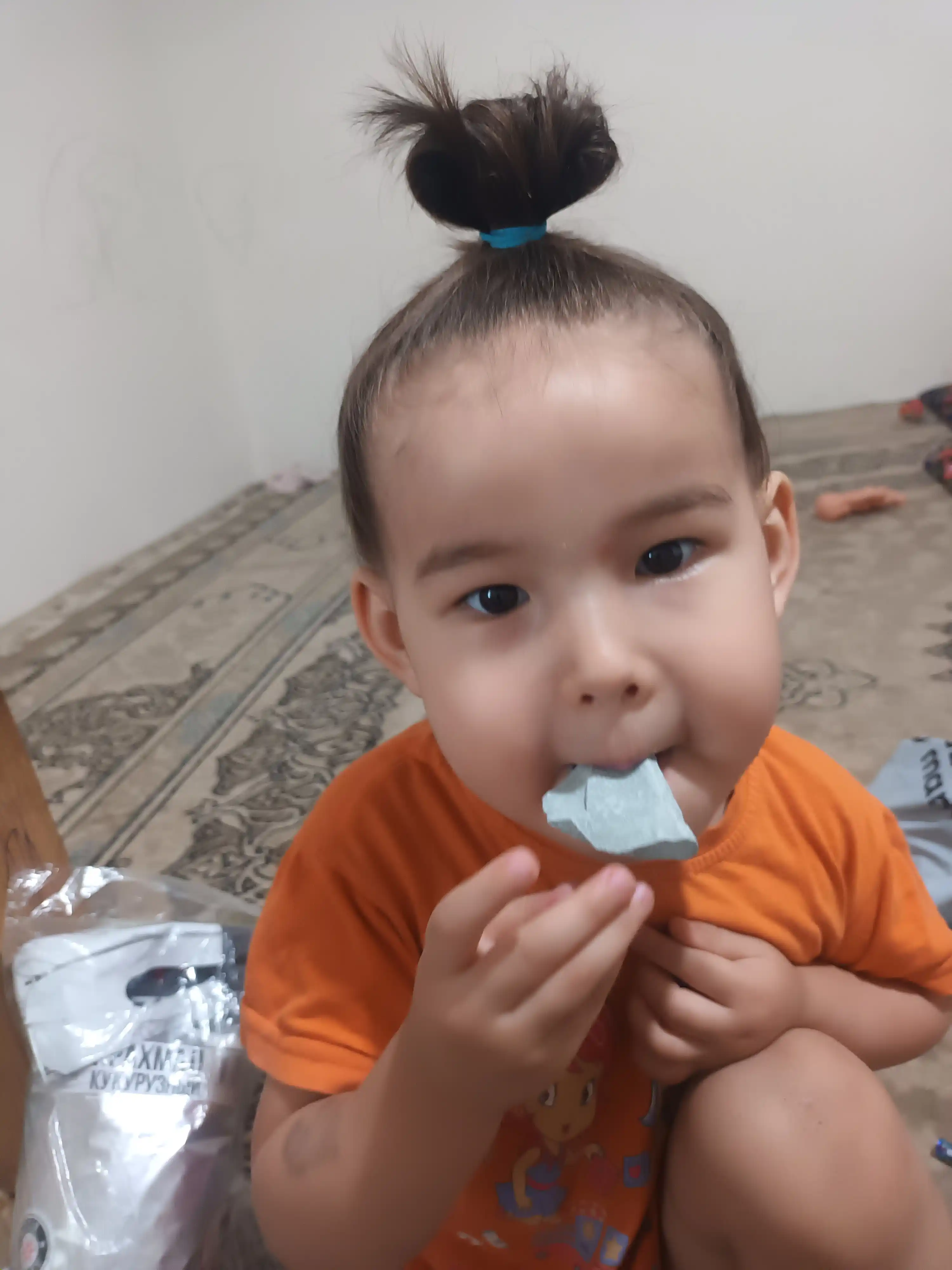 Dengiz gili, kesak, loy, gulvata, gilvata, dengiz kesagi, tabiiy kesak