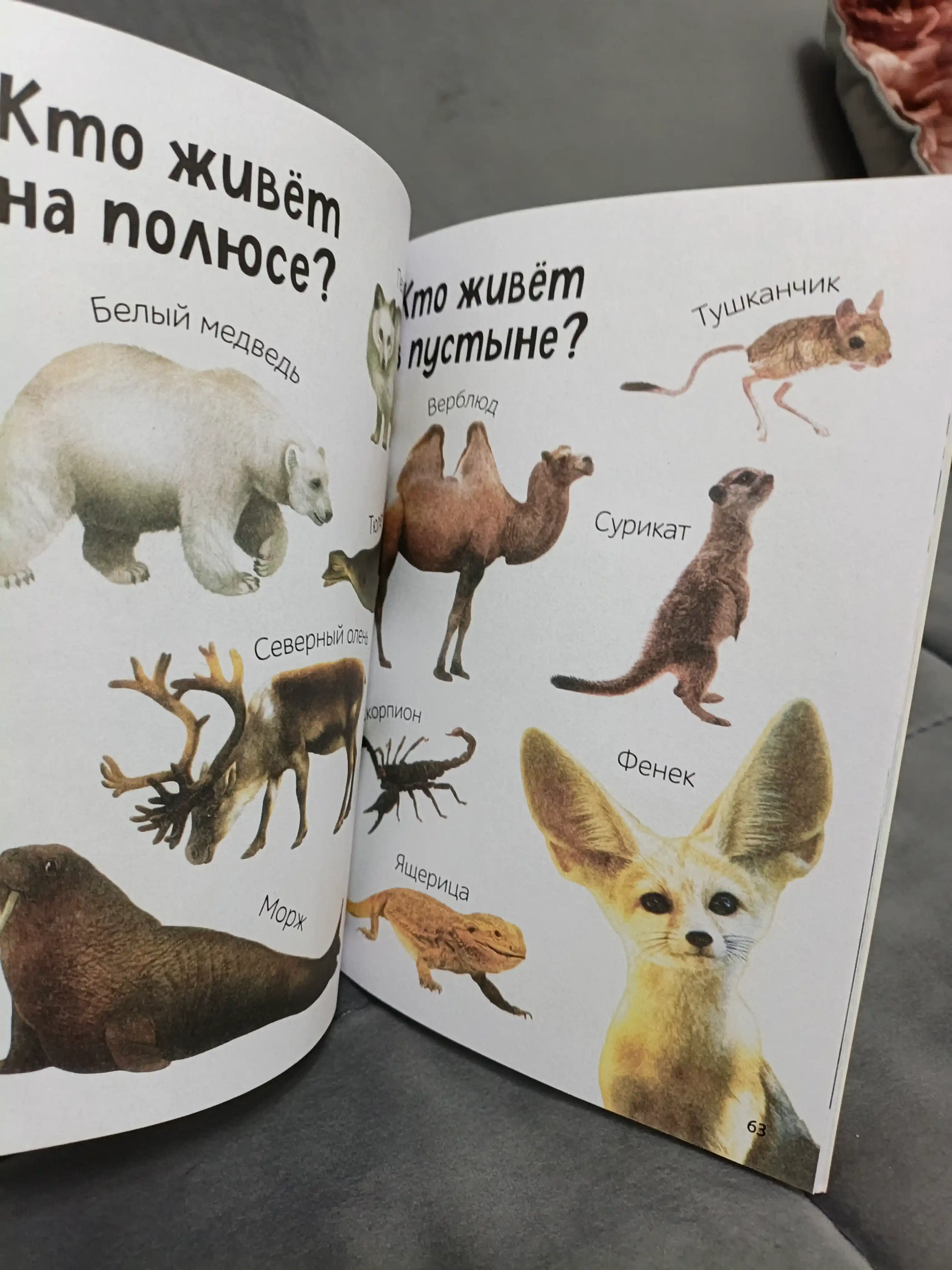 Bolalar uchun rasmali lug'at: Ilk 500 so'z, 80 bet, qattiq muqova, rivojlantiruvchi kitob